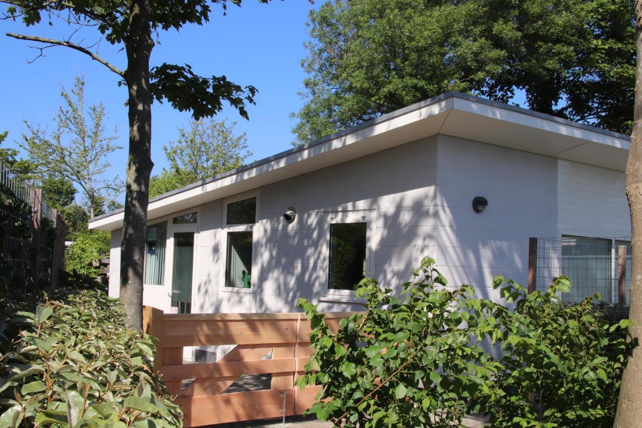 Banjaard Beachhouse Patrijzenlaan 14 Камперланд Екстериор снимка